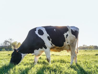 Gewässerschutz in der Landwirtschaft Gewässerschutz in der Landwirtschaft