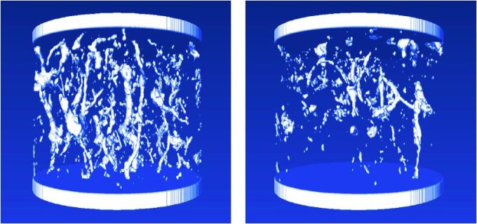 Bildschirmfoto 2022-04-05 um 14.53.58