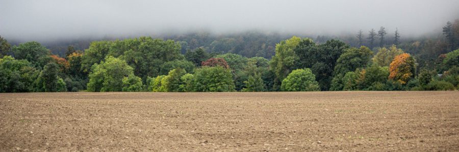 Sachgerechte Bodenrekultivierung ist angesagt Geschädigter Boden: ausgetrocknetes Ackerland am Waldrand