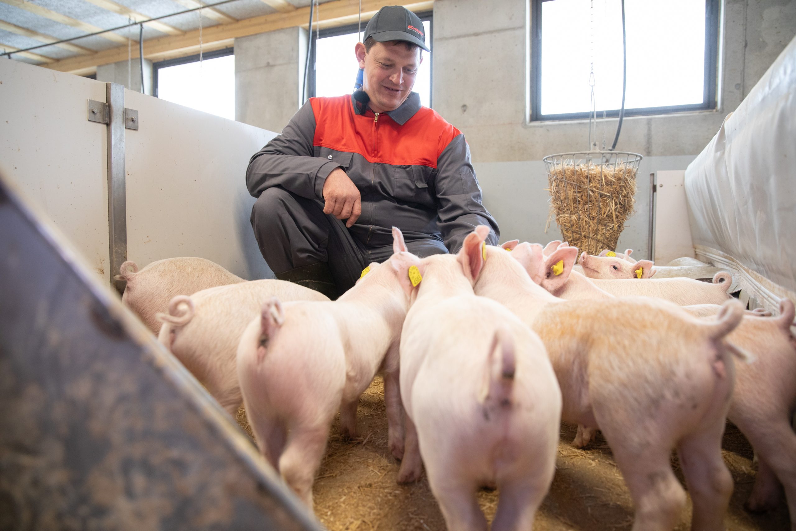 Der Betriebsleiter und seine Tiere profitieren jetzt von einem emissionsarmen und tierfreundlichen Stallkonzept. (Monique Wittwer)