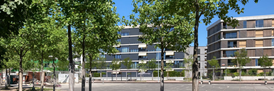 Klimaanpassung in Zentralschweizer Gemeinden.