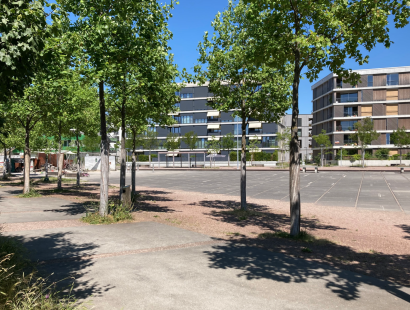 Klimaanpassung in Zentralschweizer Gemeinden